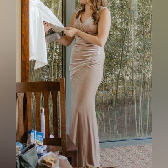 Revelry Dawson Velvet Dress Champagne Color Size 8 - Picture 8 of 9